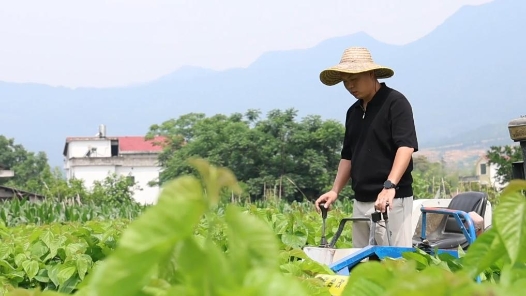新華視點(diǎn)｜汗水澆灌收獲 勞動(dòng)托舉夢想——解碼“勞有所得”的民生實(shí)踐